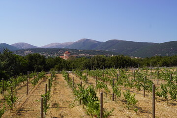 Fototapeta premium Exploring the beautiful landscapes of Kefalonia in Greece