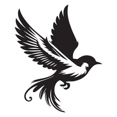 Fototapeta premium Flying Birds Set Single Silhouettes on a white background 