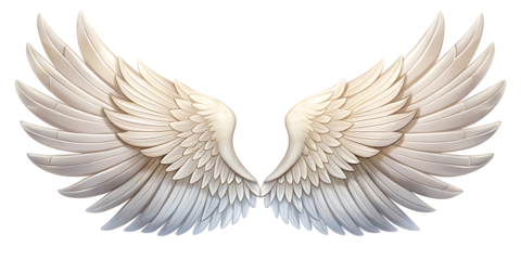 Elegant white angel wings on black background creating a sense of freedom and serenity for creative designs