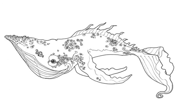 Baleine gracieuse avec de longues nageoires et une apparence fabuleuse