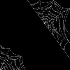spider web on black background