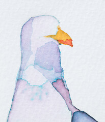 Beautiful watercolor painting showcasing a Larus with soft colors and gentle details