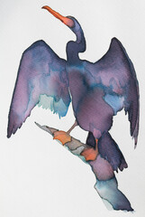 Colorful watercolor painting of a bird Phalacrocorax perched on a branch, showcasing its graceful pose and beauty