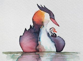 Beautiful watercolor painting of a mother great crested grebe with its chick on calm water