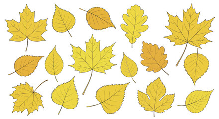 Hand Drawn Fall Foliage Vector Illustration Set with Yellow Autumn Leaves