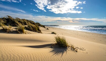 Sandy beach meets ocean under a partly cloudy sky
