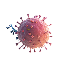 Microscopic view of virus cell with surface proteins interacting with antibodies in a vibrant color palette