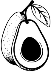 illustration of avocado fruit vector