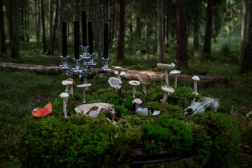 An unusual forest scene featuring a table covered with moss, scattered white poisonous mushrooms,...