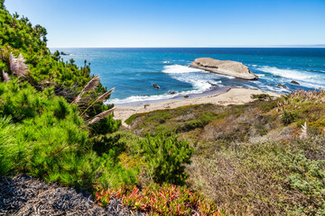 Greyhound Rock Beach in Santa Cruz County California USA. Scenic view from coastal bluff overlooking sandy beach, rocky shoreline, and iconic offshore island in the Pacific Ocean under clear blue sky.