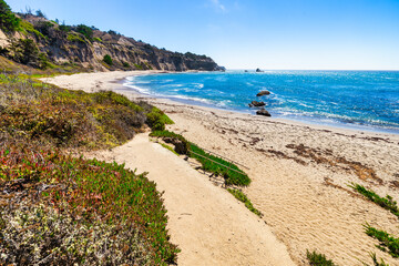 Greyhound Rock Beach in Santa Cruz County California USA. Scenic view from coastal bluff with colorful ice plant vegetation overlooking sandy shoreline, blue Pacific Ocean waters, and rugged cliffs