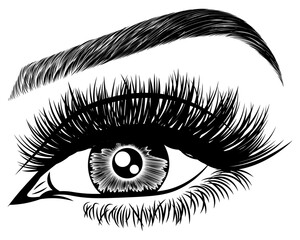 Illustration with woman's eye, eyelashes and eyebrow. Makeup Look. Tattoo design. Logo for brow bar or lash salon.