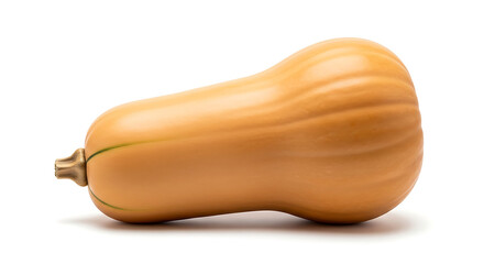 butternut squash isolated on transparent background