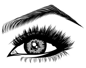 Illustration with woman's eye, eyelashes and eyebrow. Makeup Look. Tattoo design. Logo for brow bar or lash salon.