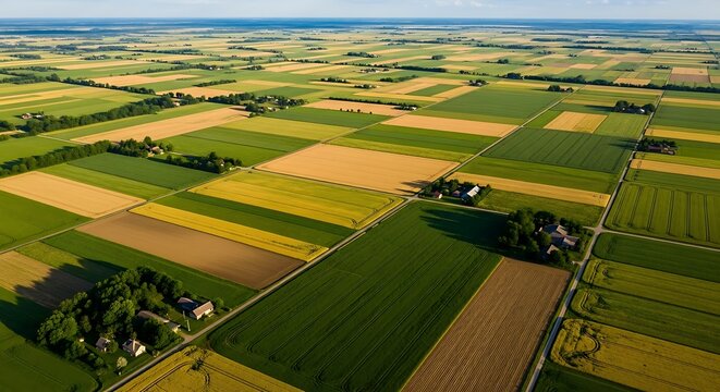 Agricultural Fields Aerial View. - Powered by Adobe