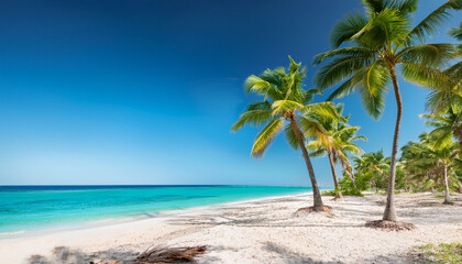 Obraz premium Tropical Paradise Palm Trees On Sandy Beach With Turquoise Ocean And Clear Blue Sky