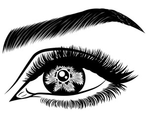 Illustration with woman's eye, eyelashes and eyebrow. Makeup Look. Tattoo design. Logo for brow bar or lash salon.