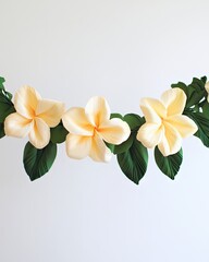 Plumeria arrangement ivory petals, green leaves, white