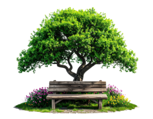 Lush Green Tree with Wooden Bench and Spring Flowers Isolated PNG