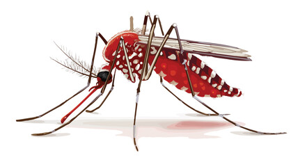 Detailed Vector Illustration of Mosquito Sucking