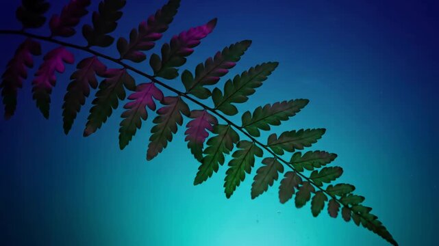 Gradient Motion
