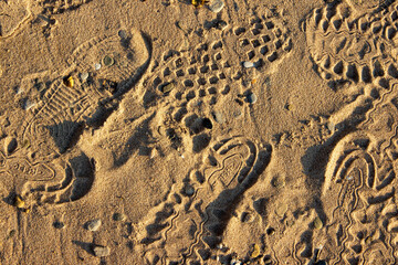 Footprints in fine sand create a textured pattern on the beach, showcasing various shoe designs and...