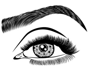 Illustration with woman's eye, eyelashes and eyebrow. Makeup Look. Tattoo design. Logo for brow bar or lash salon.