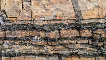 Rocky wall as natural background.