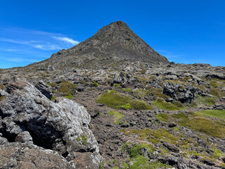 Le pico