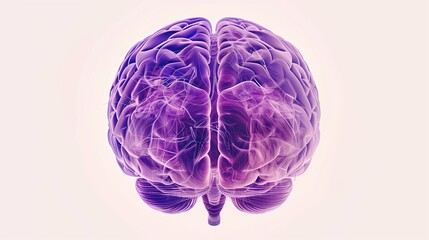 Fototapeta premium Epilepsy Awareness Month. Detailed scientific illustration of human brain from top view with highlighted epileptic focus zones in purple, anatomically accurate cerebral hemispheres