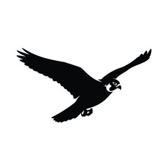 Fototapeta premium Flying Falcon Eagle Hawk Bird Silhouette Vector Logo Mascot Icon Isolated