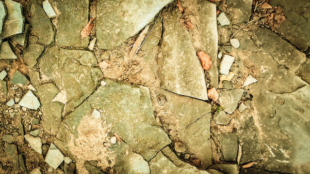 Rocks on ground as nature background.