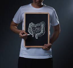 Man Holding Chalkboard with Detailed Intestines Drawing: Digestive Health Education