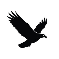 Black silhouette of a soaring eagle with wings spread wide isolated on white background silhouette