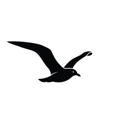 Black silhouette of a seagull in flight isolated on white background silhouette