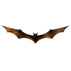 Ominous Bat Silhouette with Textured Wings on Transparent Background