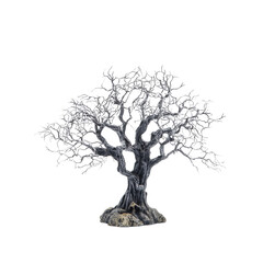 Bare Tree with Twisted Branches and Dark Trunk on Transparent Background