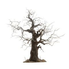 Isolated Leafless Tree with Bare Branches Against on Transparent Background