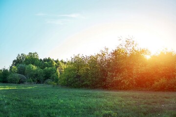 Sunlit rural landscape with plowed crop rows