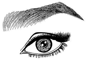 Illustration with woman's eye, eyelashes and eyebrow. Makeup Look. Tattoo design. Logo for brow bar or lash salon.