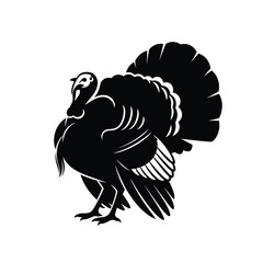 Majestic turkey silhouette displaying its fanned tail feathers isolated on white background