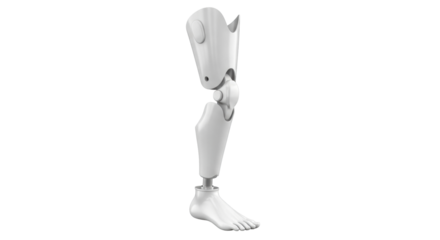 Isolated prosthetic leg for medical illustration, prosthesis with mechanical knee joint
