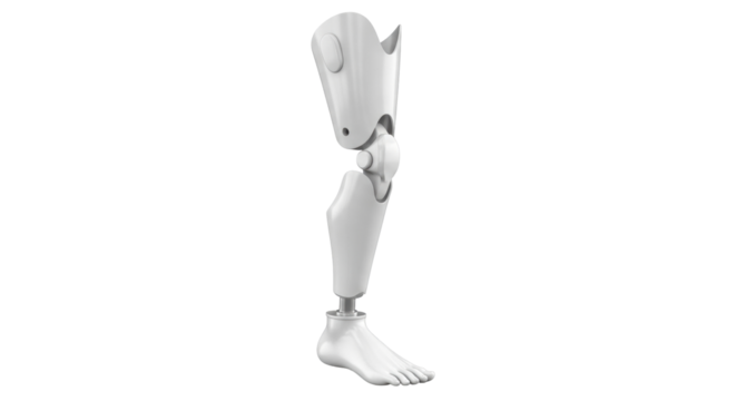 Isolated prosthetic leg for medical illustration, prosthesis with mechanical knee joint