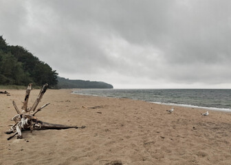Fototapeta premium Baltic sea beach in Jastrzebia Gora. Stormy weather.