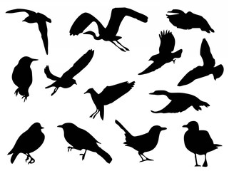 Silhouettes-Birds-.eps