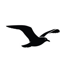 Black silhouette of a seagull bird in flight isolated on white background silhouette