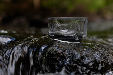 Engraved glass bowl with bird design