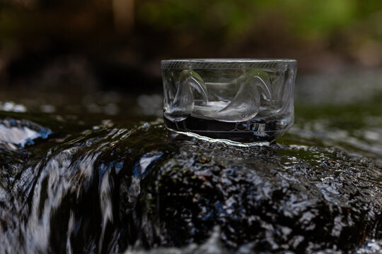 Engraved glass bowl with bird design