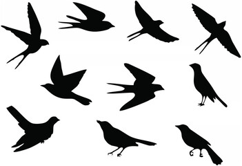 Birds pattern.eps