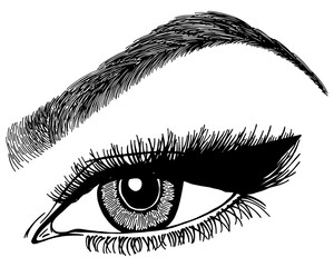 Illustration with woman's eye, eyelashes and eyebrow. Makeup Look. Tattoo design. Logo for brow bar or lash salon.